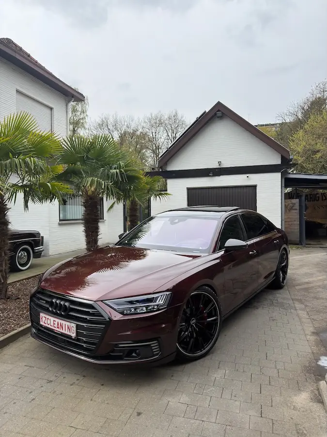 Audi detailing